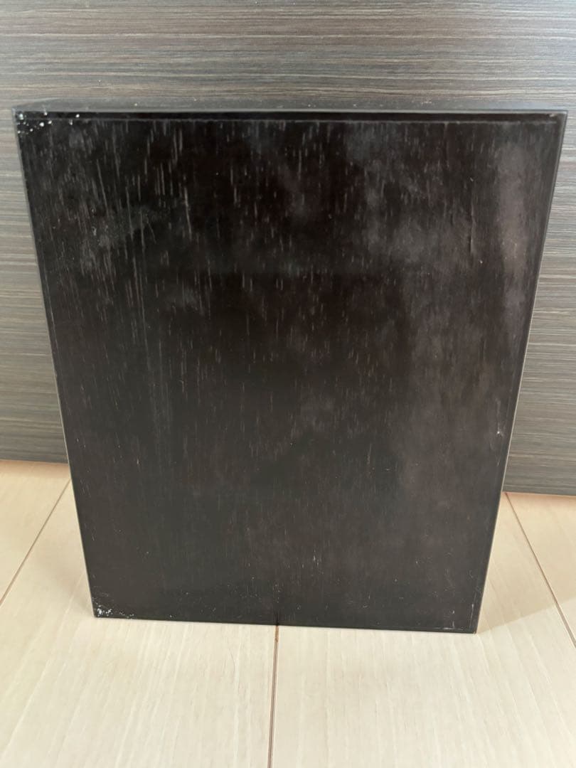 昆虫標本2点セット　ヘラクレスオオカブト、ホソアカクワガタ