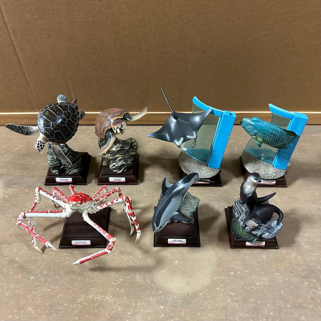 海遊館ミュージアム フィギュア まとめ売り ネイチャーテクニカラー 海洋堂 奇譚