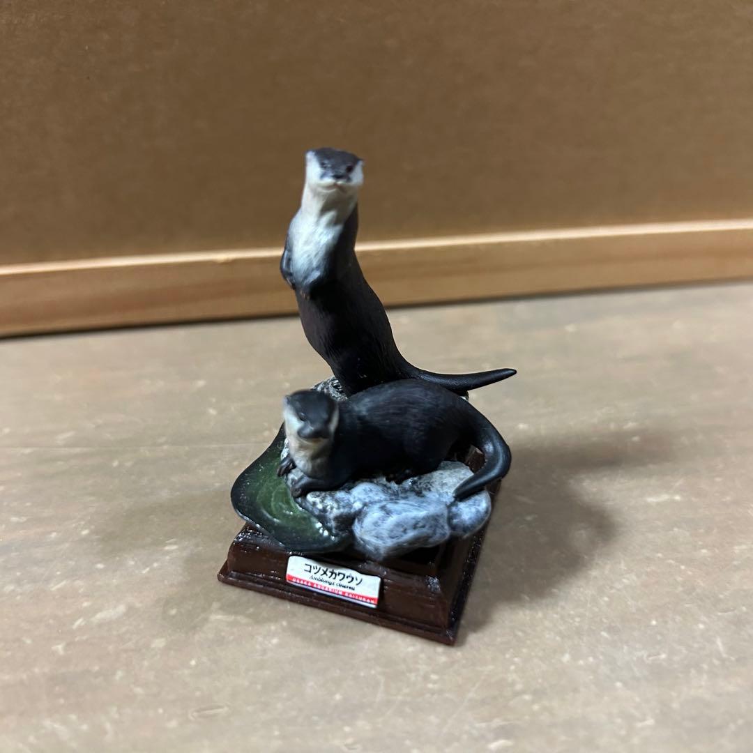 海遊館ミュージアム フィギュア まとめ売り ネイチャーテクニカラー 海洋堂 奇譚