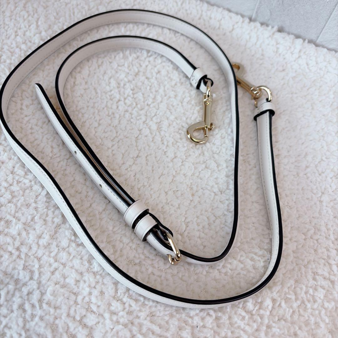 【美品】COACH　コーチ　ショルダーバッグ　花　デイジー　刺繍　クロスボディ