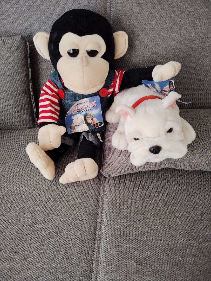 非売品 パンくん ジェームズ ぬいぐるみ 天才志村どうぶつ園