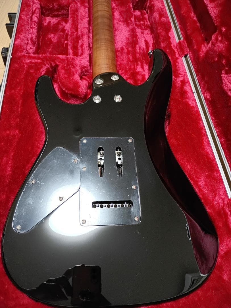 ギター Harley Benton Fusion-III HSH Roasted