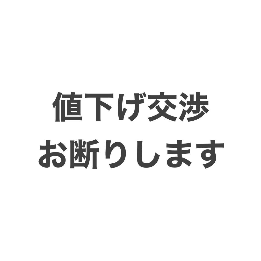 ディズニー　パルパルーザ　ミニファン　ミニー　ファンダーランド　ぬいぐるみ