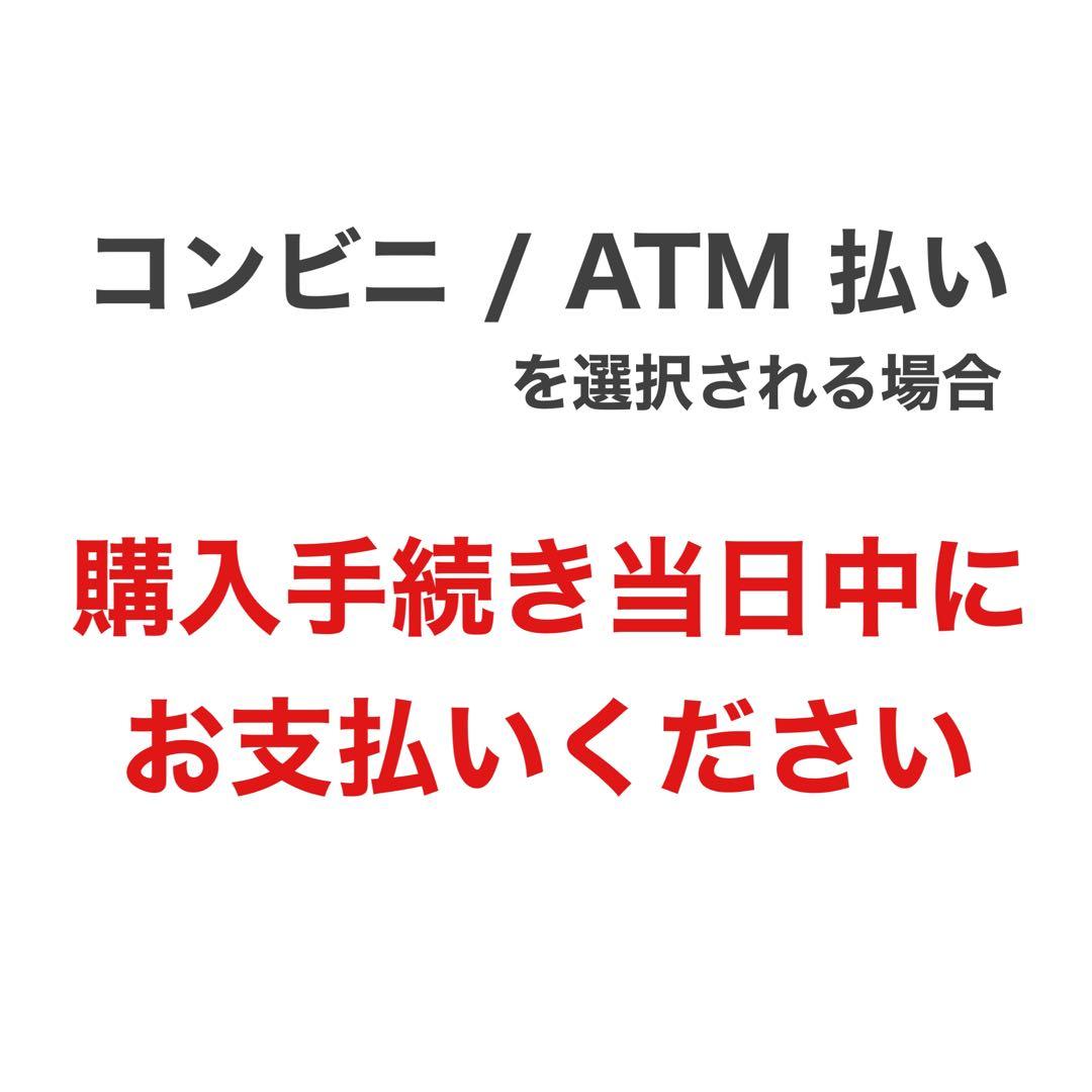 ディズニー　パルパルーザ　ミニファン　ミニー　ファンダーランド　ぬいぐるみ