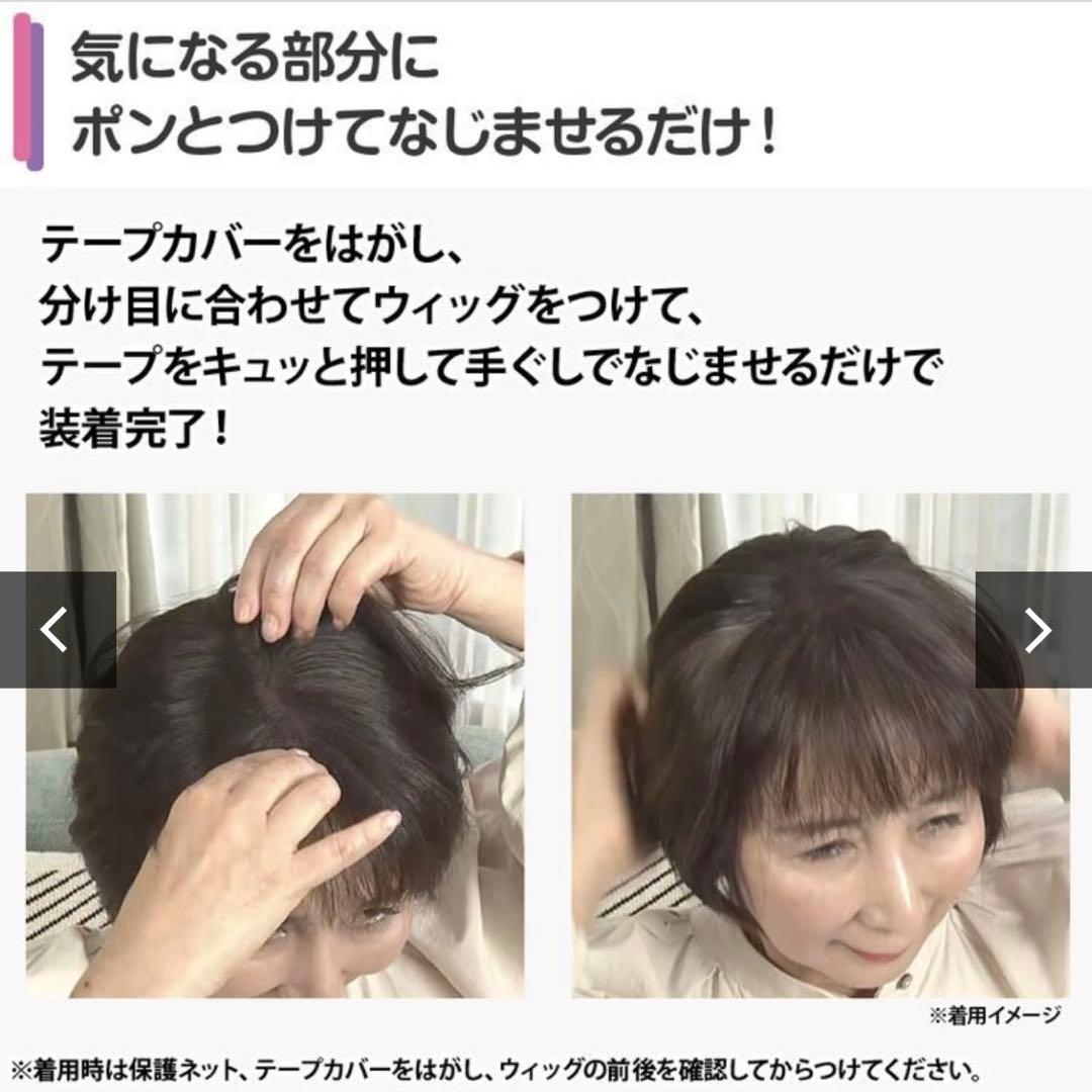 NAO-ART ピンのいらない簡単ウィッグ ナチュラルブラウン ポシュレ