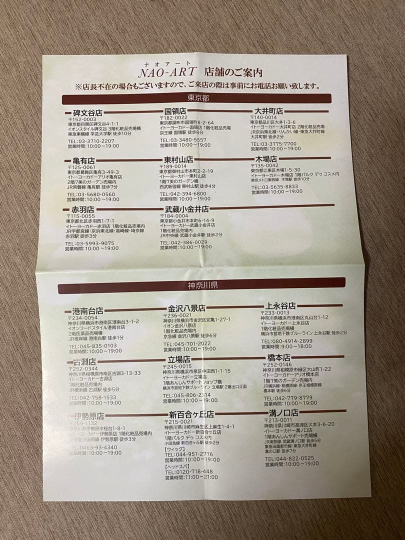 NAO-ART ピンのいらない簡単ウィッグ ナチュラルブラウン ポシュレ