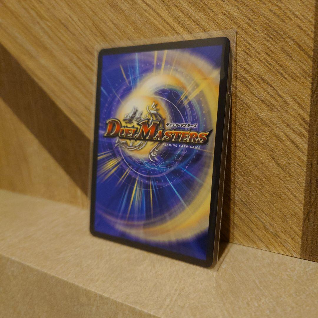 【店舗美品購入品】シャコガイル　B