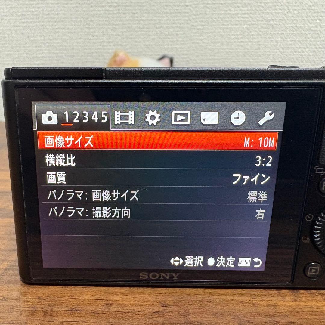 【美品✨】SONY Cyber-shot DSC-RX100 コンデジ 作例あり