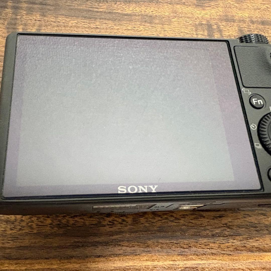 【美品✨】SONY Cyber-shot DSC-RX100 コンデジ 作例あり