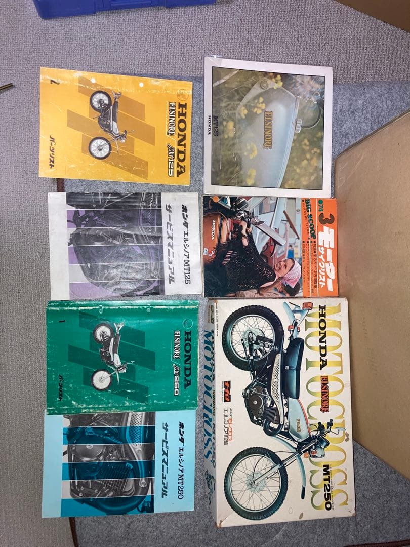 猫*ん様 エルシノア　MT250タンク