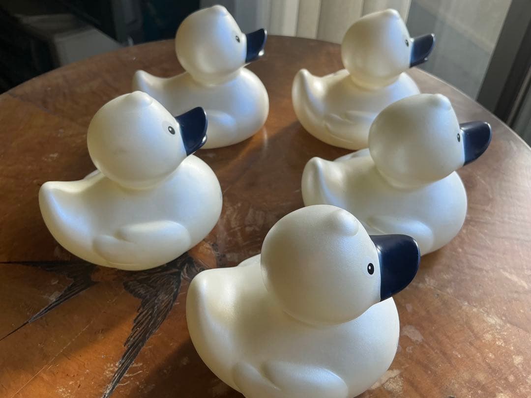 ルフトハンザファーストクラスターミナル、白ダック5羽2025年冬　嘴は紺