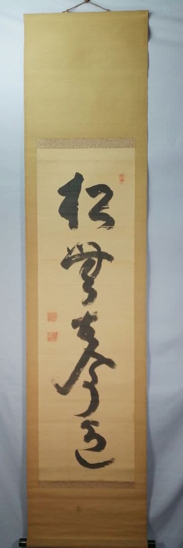 【茶道具】大徳寺486世 松雲和尚筆 『松無古今色』　一行　幕末　茶掛　C11