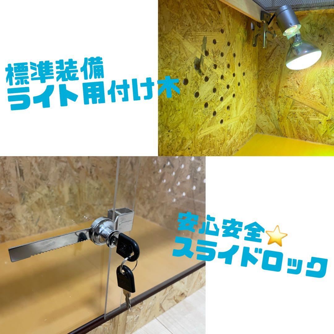 爬虫類ケージ　爬虫類飼育ケージ　90ラック用　天井ノーマル仕様