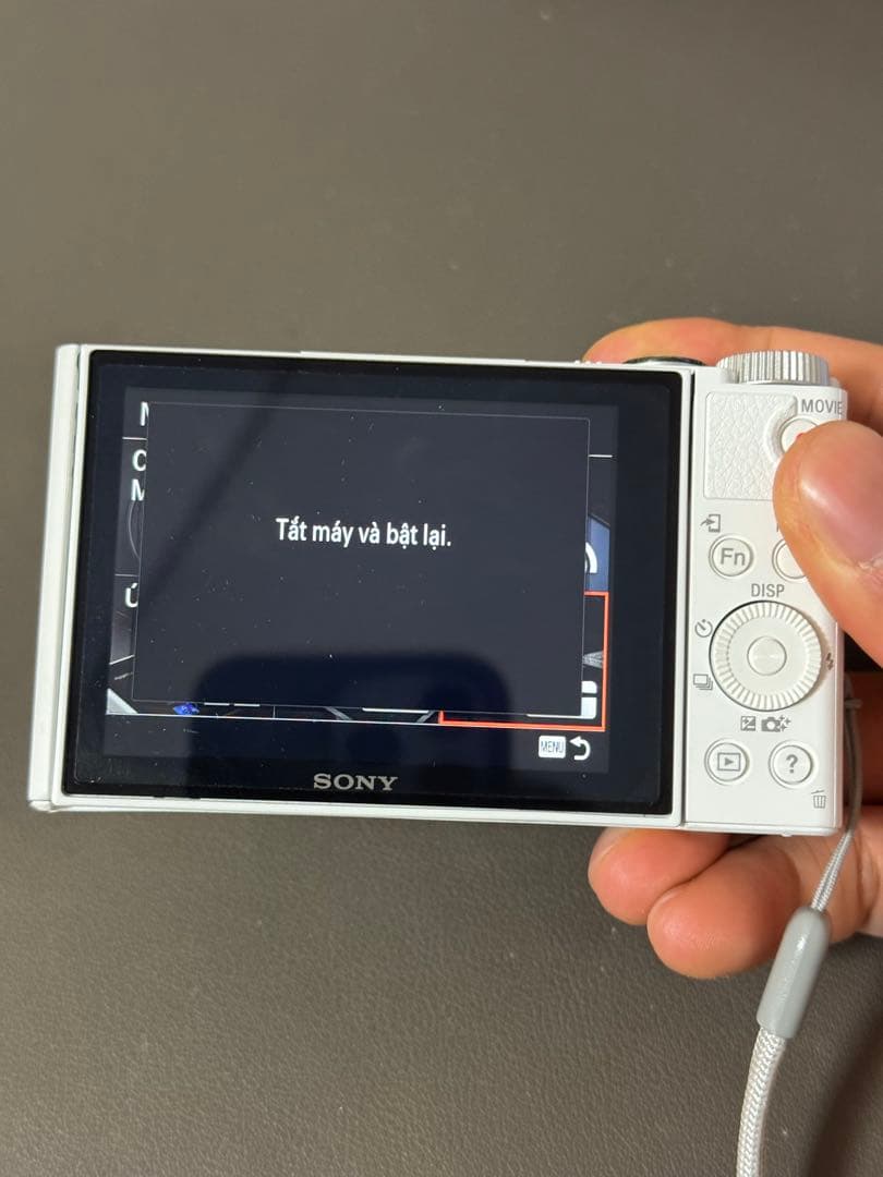 SONY ソニー Cyber-shot DSC-WX500