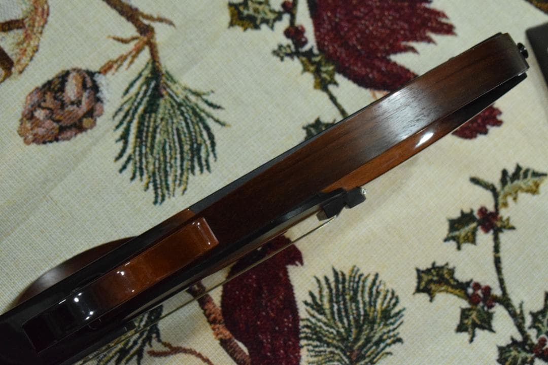 YAMAHA SLG200S TBS 動作OK ケース付き サイレントギター