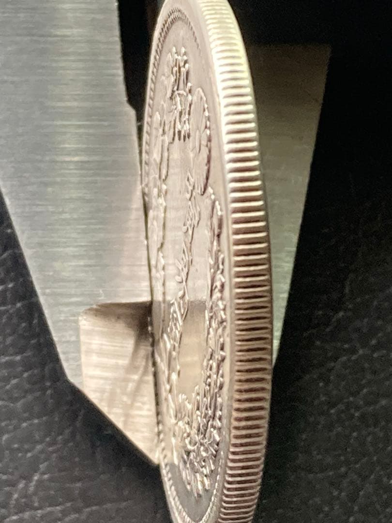 貿易銀　明治八年　一圓銀貨　　　　菊紋・竜　長支脈