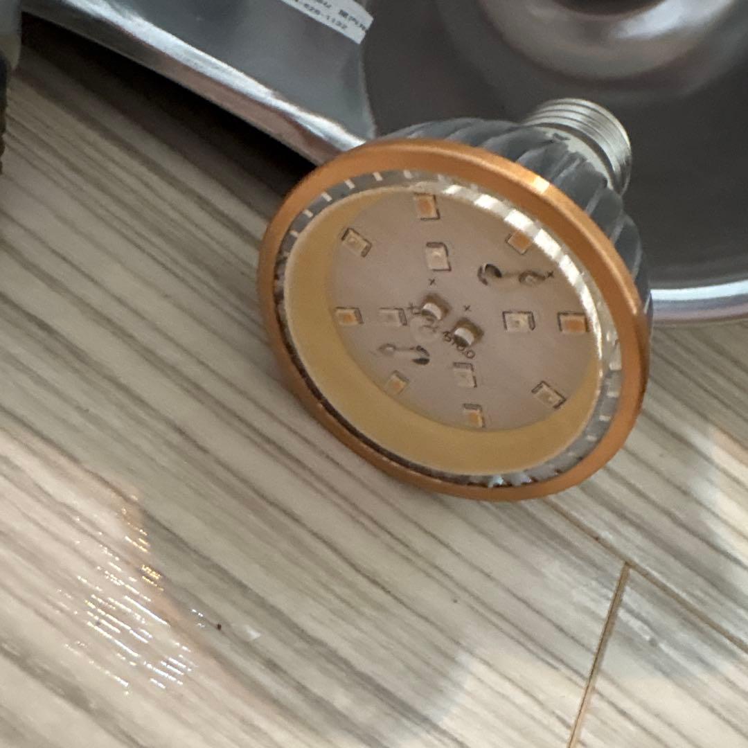 ズーメッド　ランプソケットダブルドーム　保温・紫外線ライト付