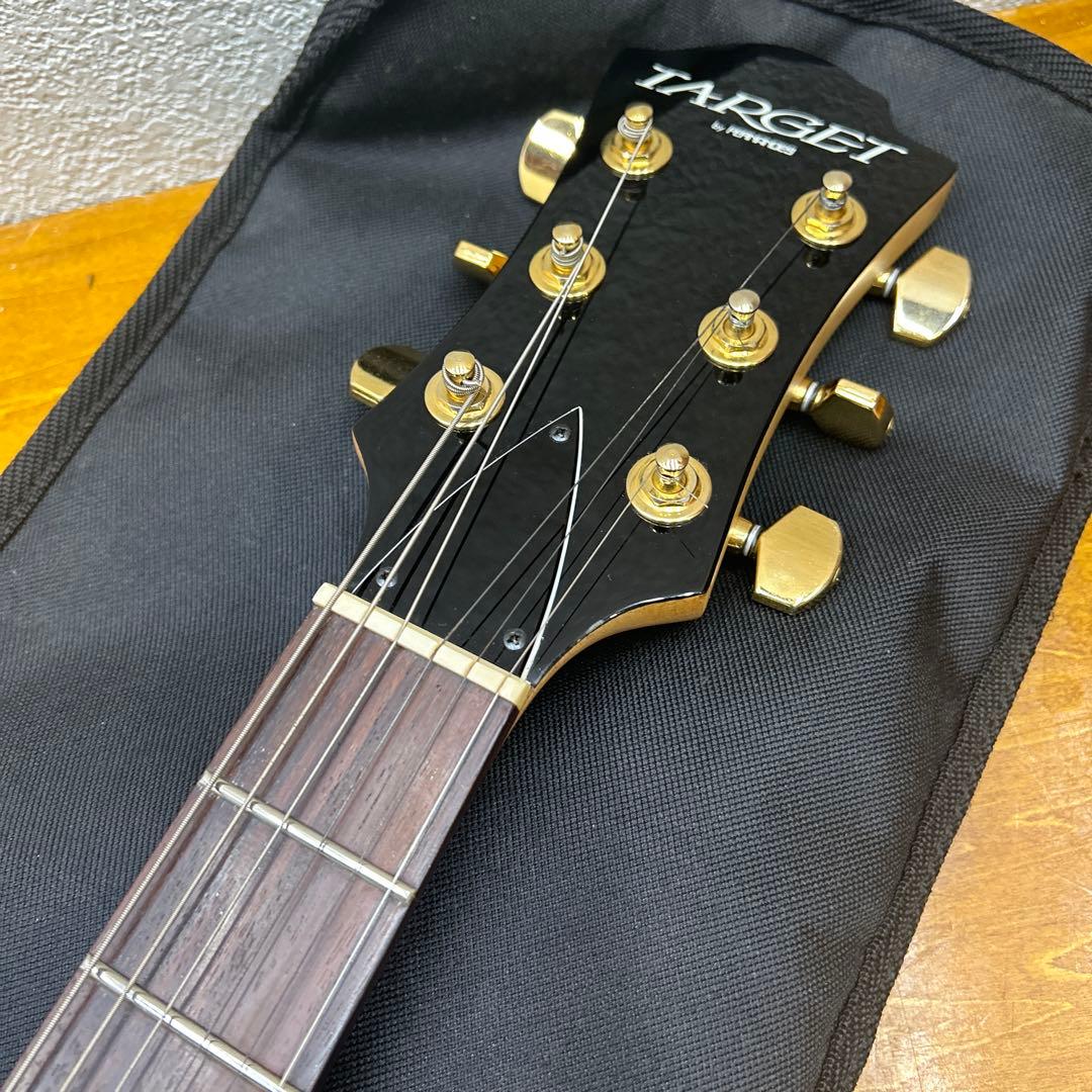 4900 TARGET FERNANDES hideモデルXモッキンバード