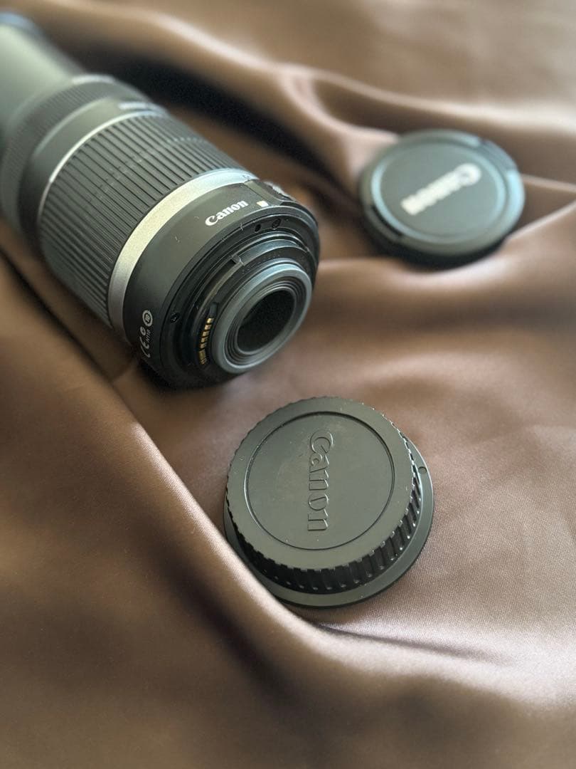 Canon EF-S55-250mm f/4-5.6 IS ズームレンズ