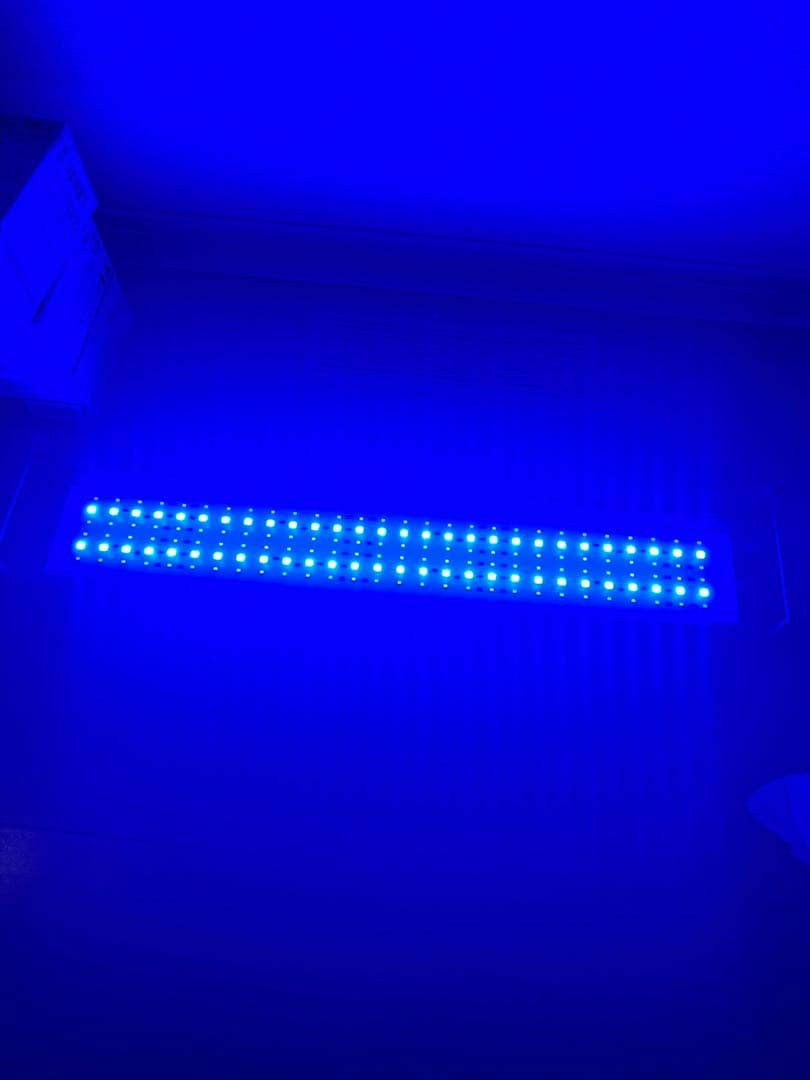 Vinta 600LEDライト リモコン付き