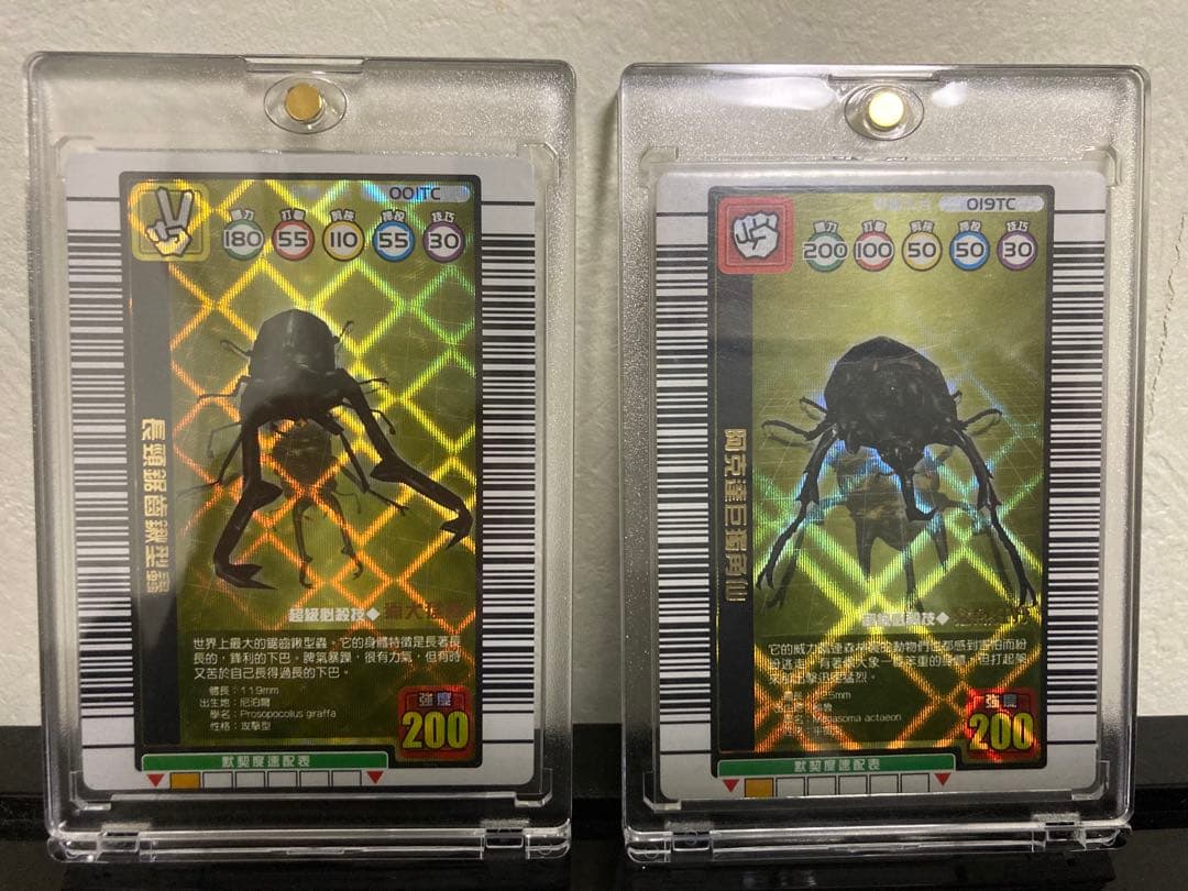 ねずみ【海外版】◆金◆銀銅付セット！！