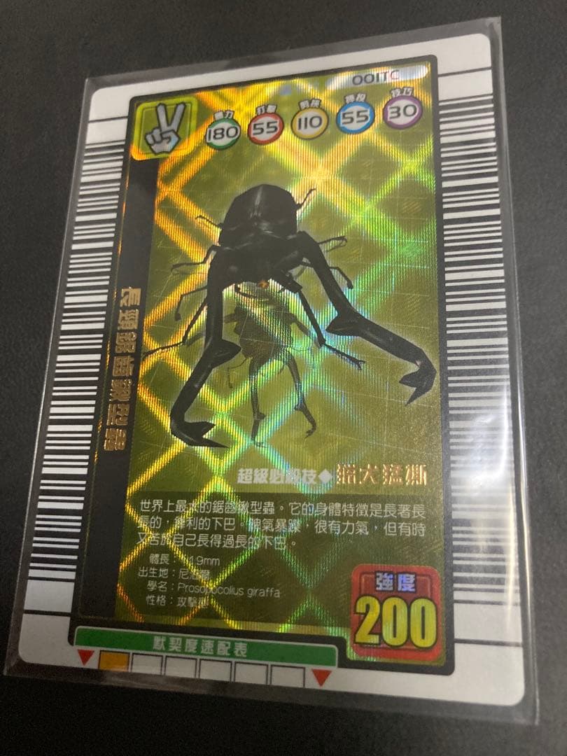 ねずみ【海外版】◆金◆銀銅付セット！！