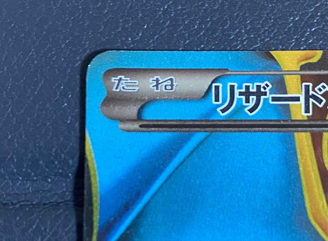 リザードンEX SR ワイルドブレイズ　080/081 ※ローダー付き