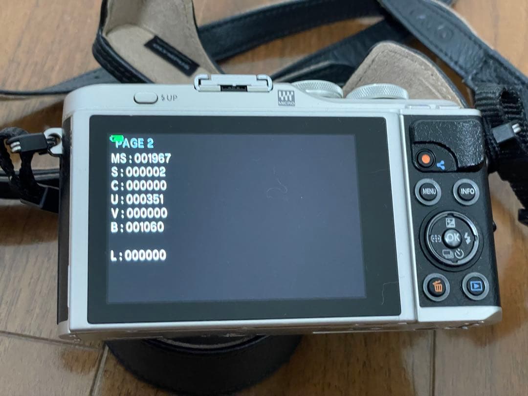 OLYMPUS PEN E-PL9 ダブルズームキット＋単焦点レンズ＋カバー等