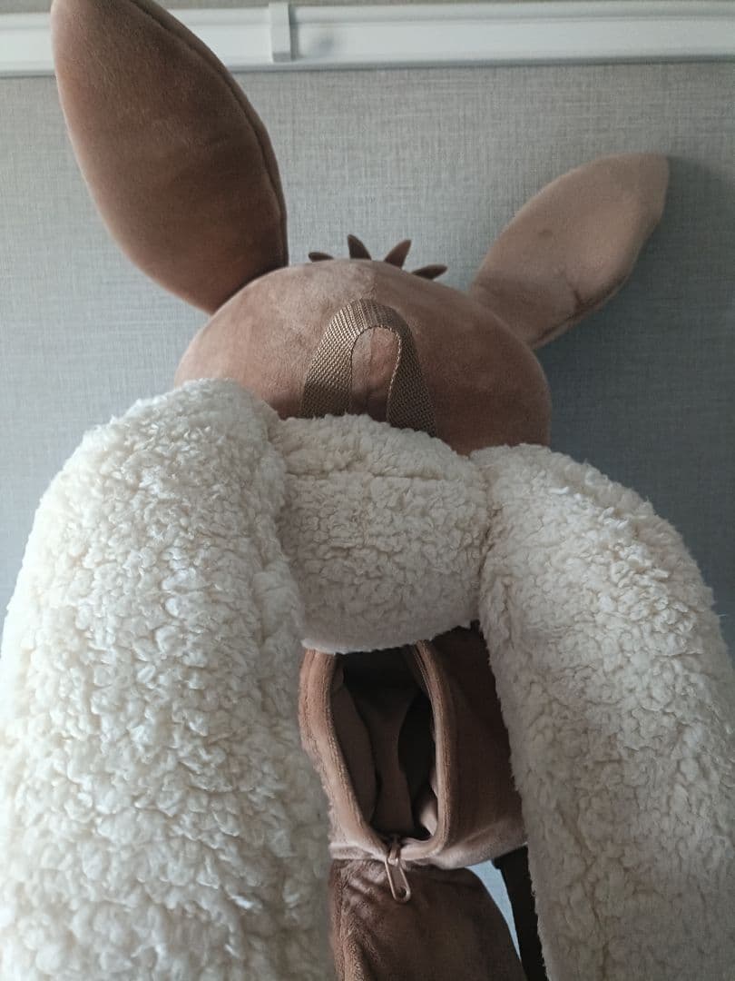 ボタンのイーブイリュック