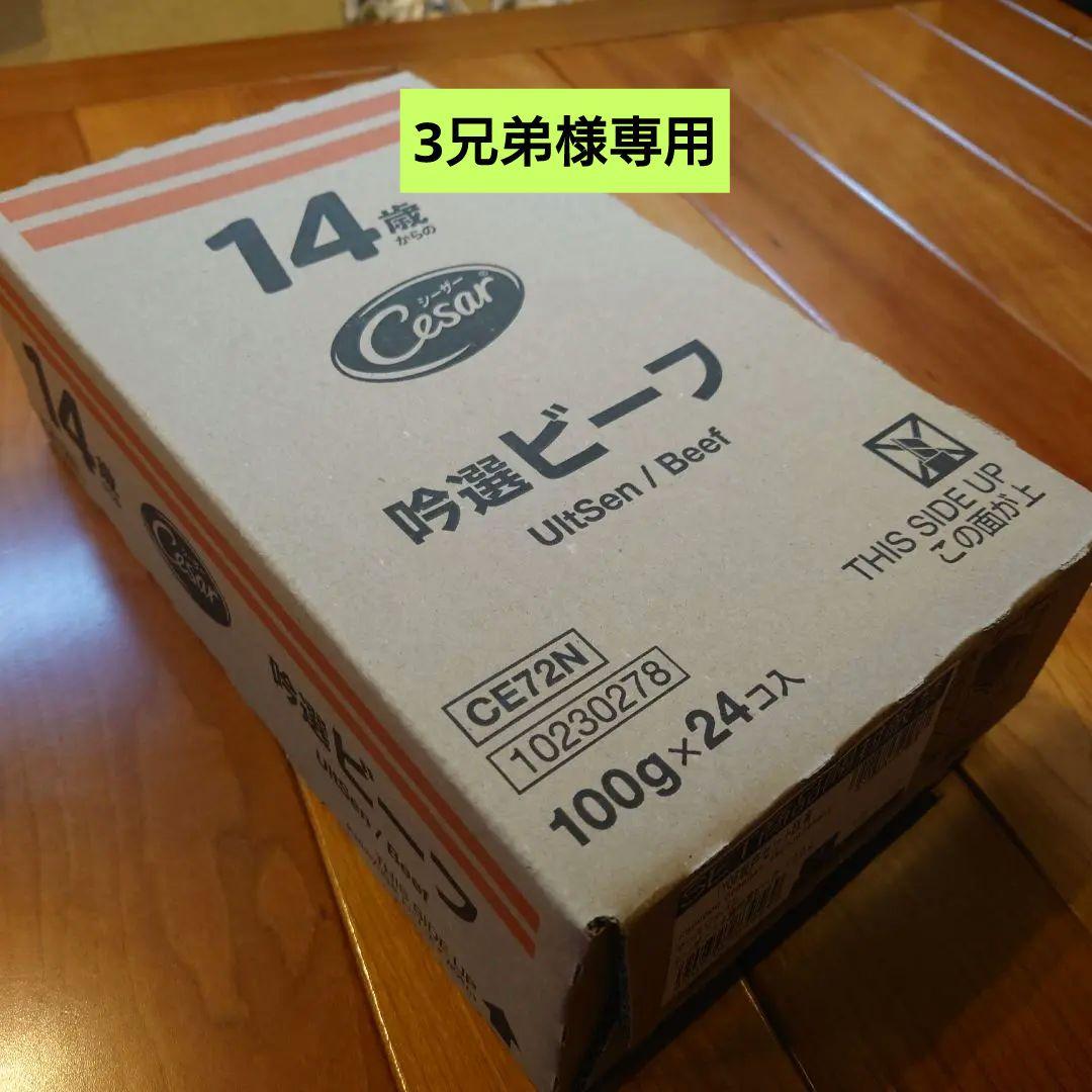 3兄弟　シーザー 14歳からの吟選ビーフ 100gｘ24コ入 3つセット