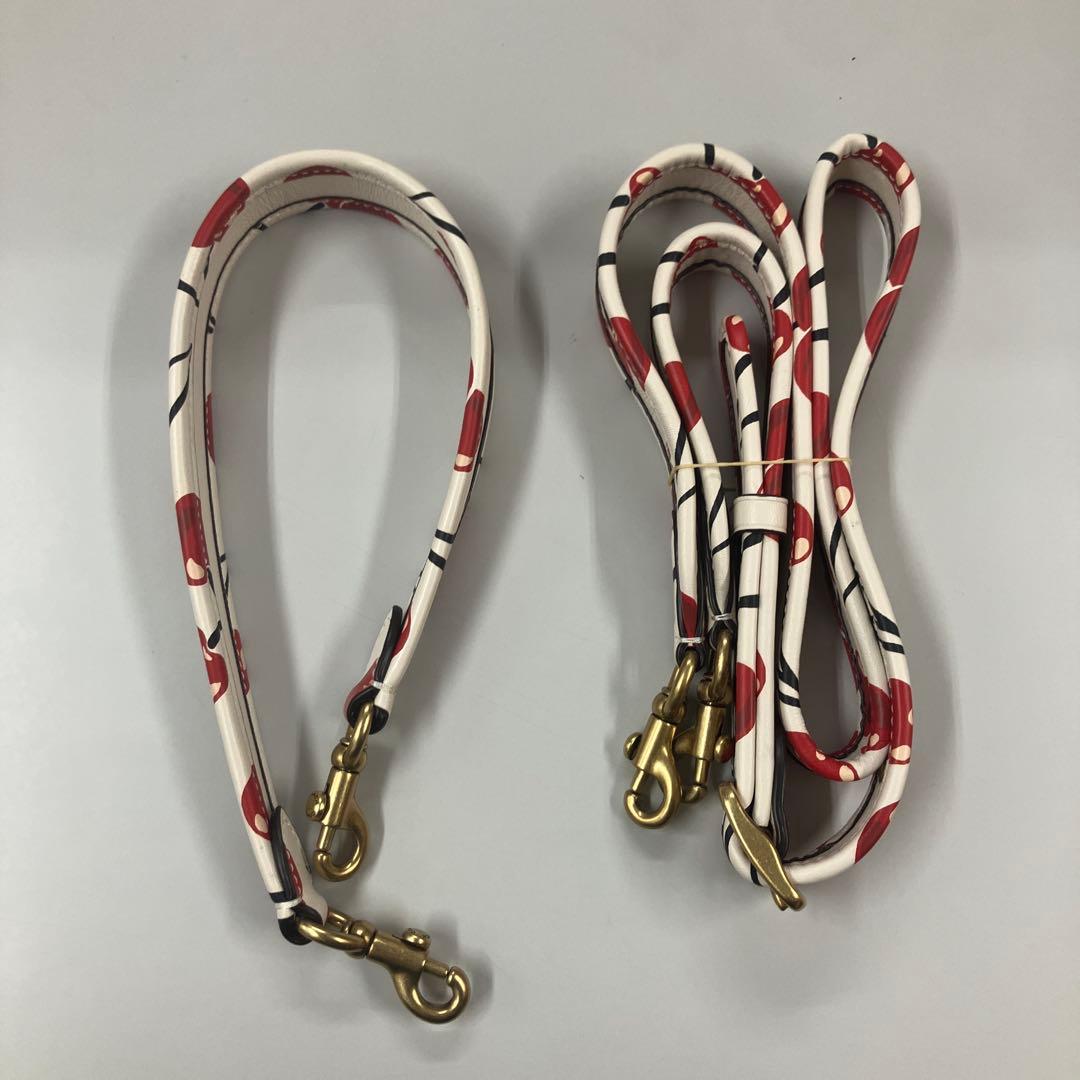 E1-1-01 COACH チェリー柄 ショルダーバッグ