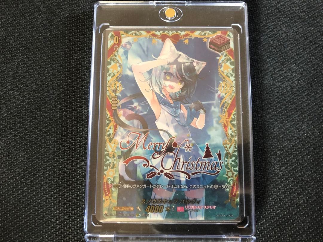 スノウスキップ パルヴィ TRG+