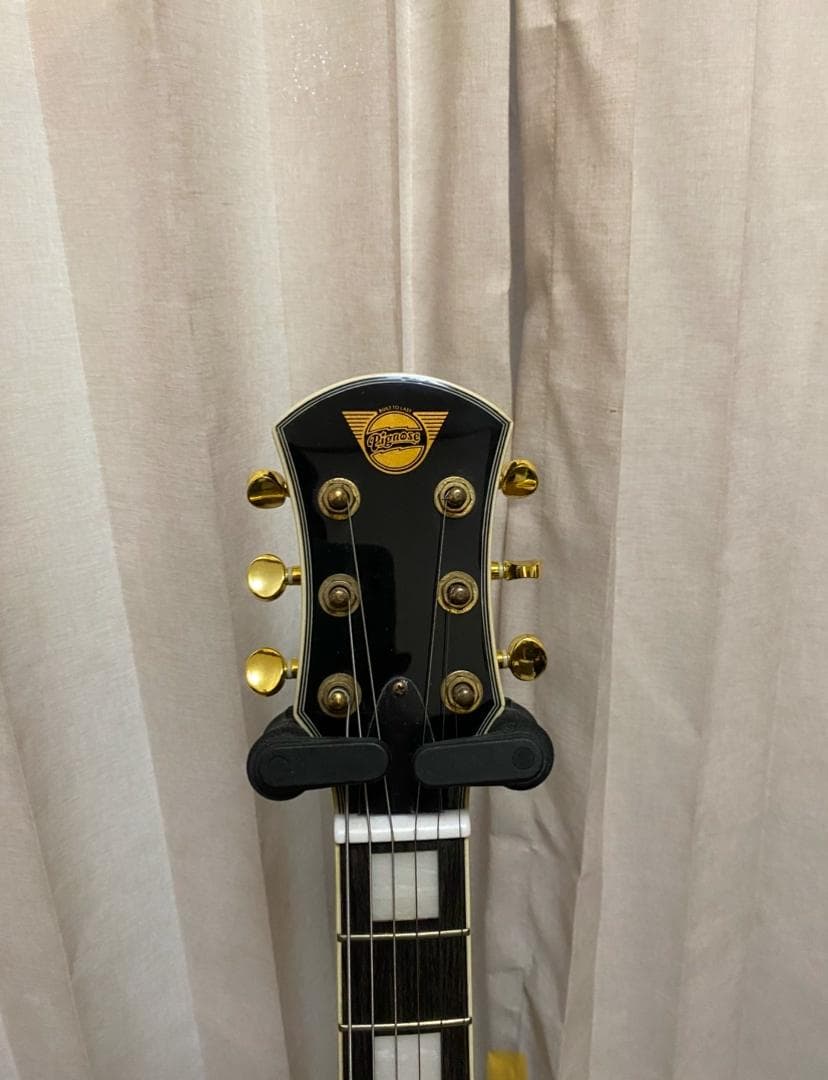 Pignose ピグノーズ PGG-259