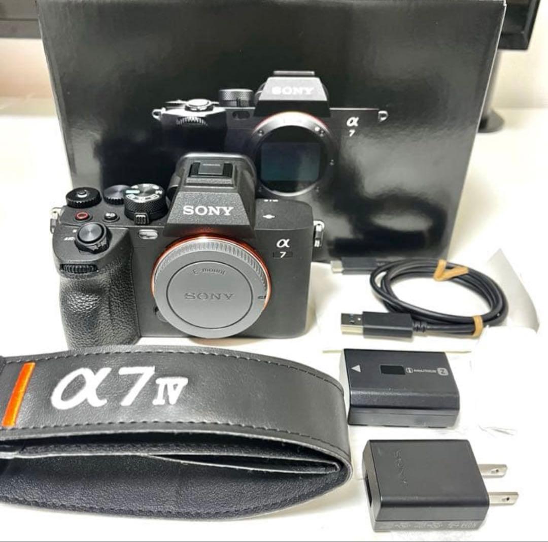 【ショット数93 枚】SONY α7IV ミラーレス一眼カメラ