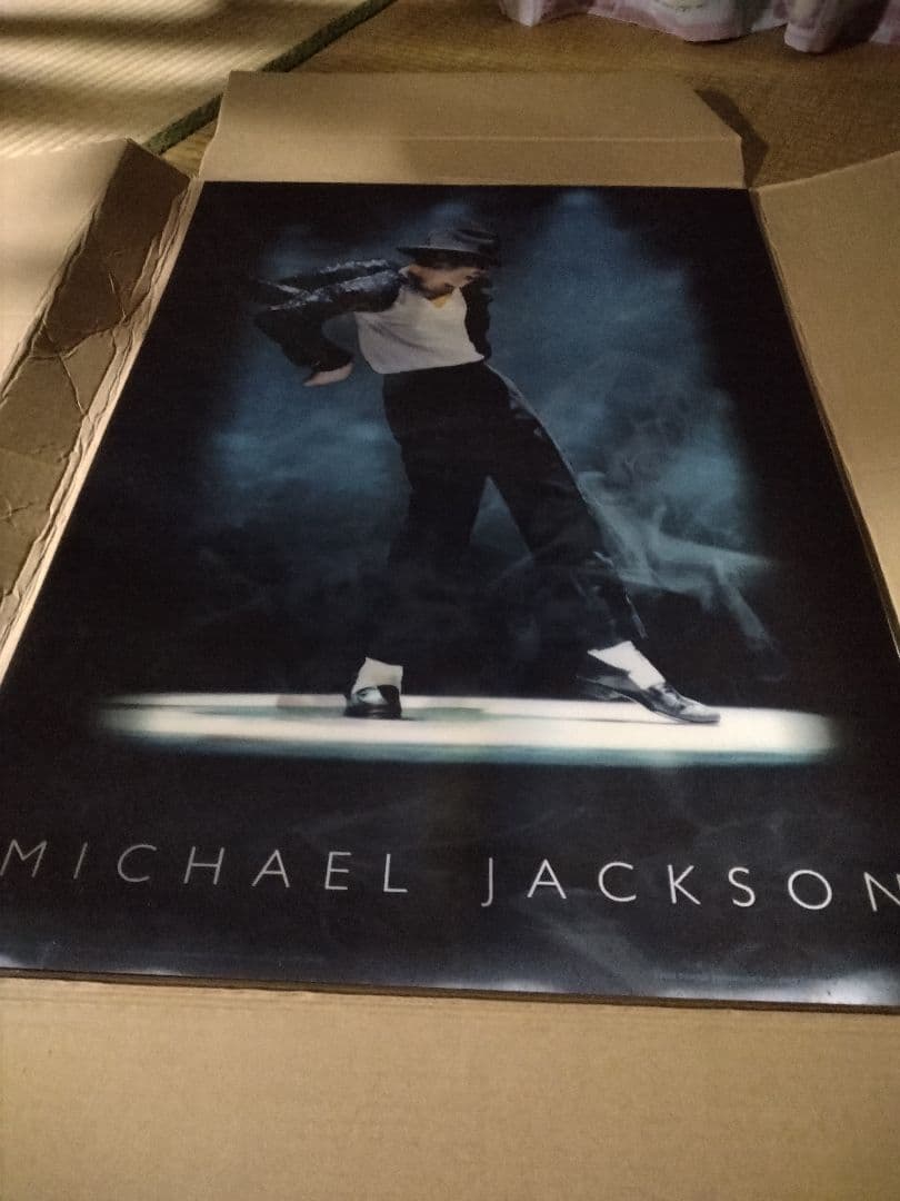 貴重‼️硬質プラスチック製‼️追悼マイケル・ジャクソン 3Dポスター‼️