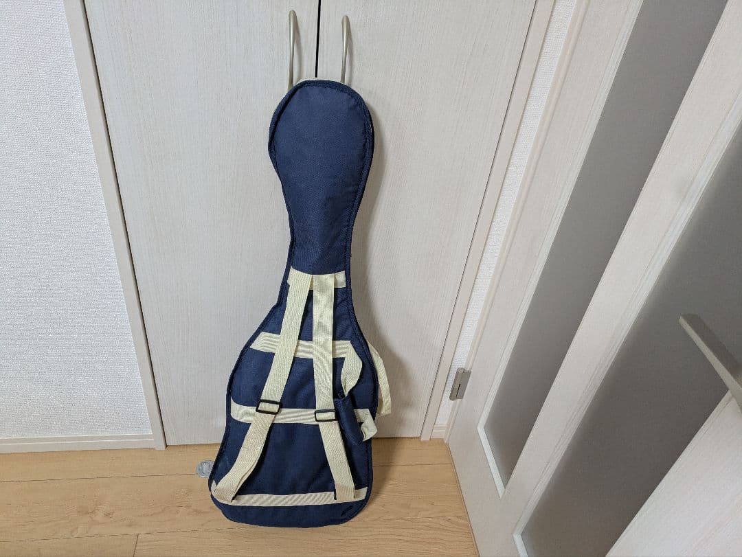 Elioth No.S305 シルバーエレキギター　ソフトケース+付属品付