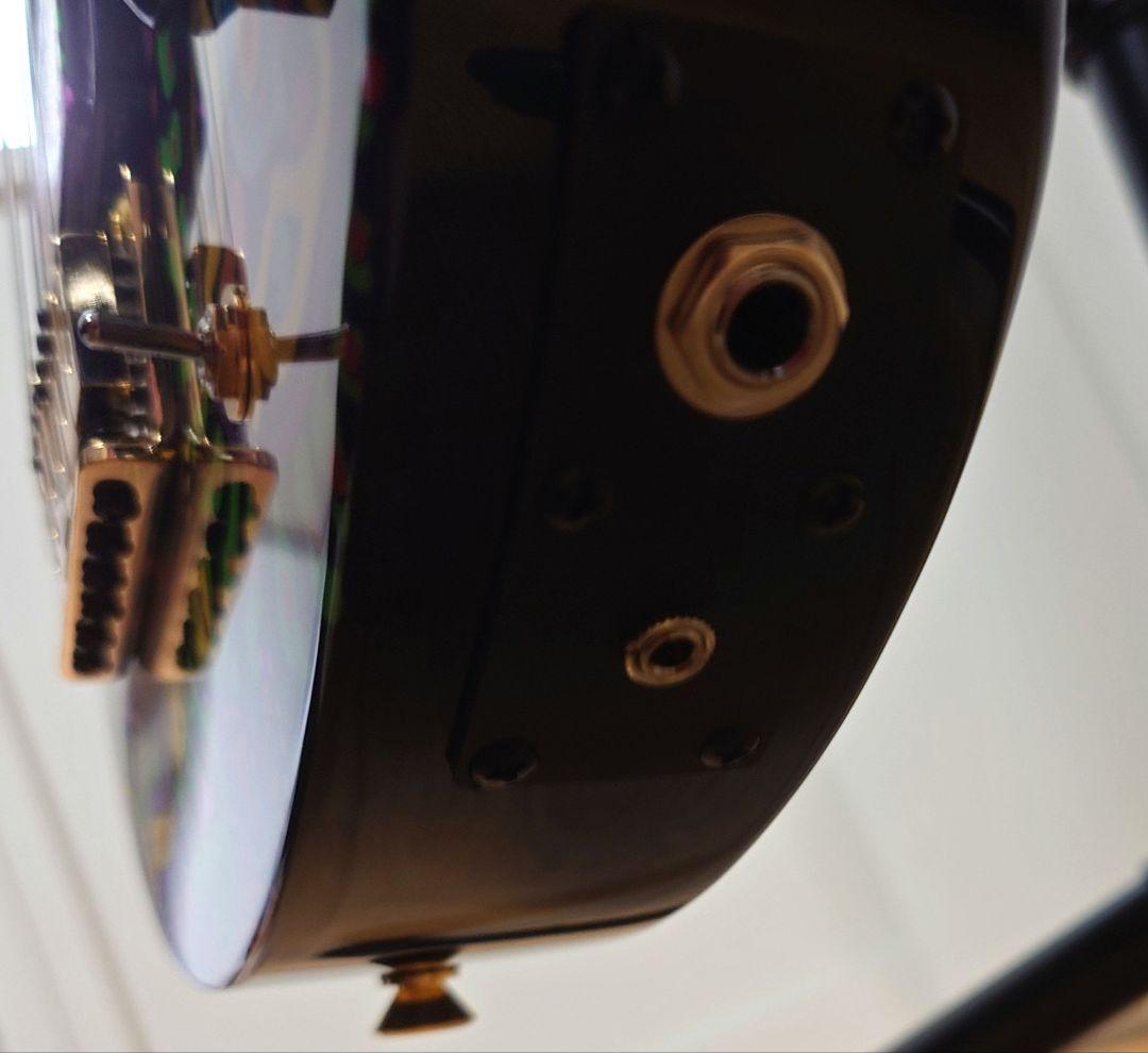 【19日迄値引】FERNANDES ZO-3 hide サイケ ハードケース付き