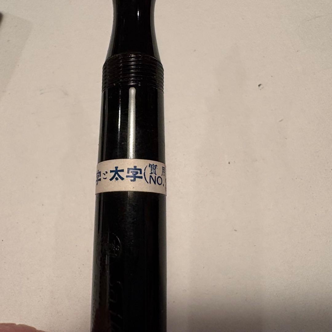 【パンダ】sailor セーラー 万年筆 大正　KG8 箱あり