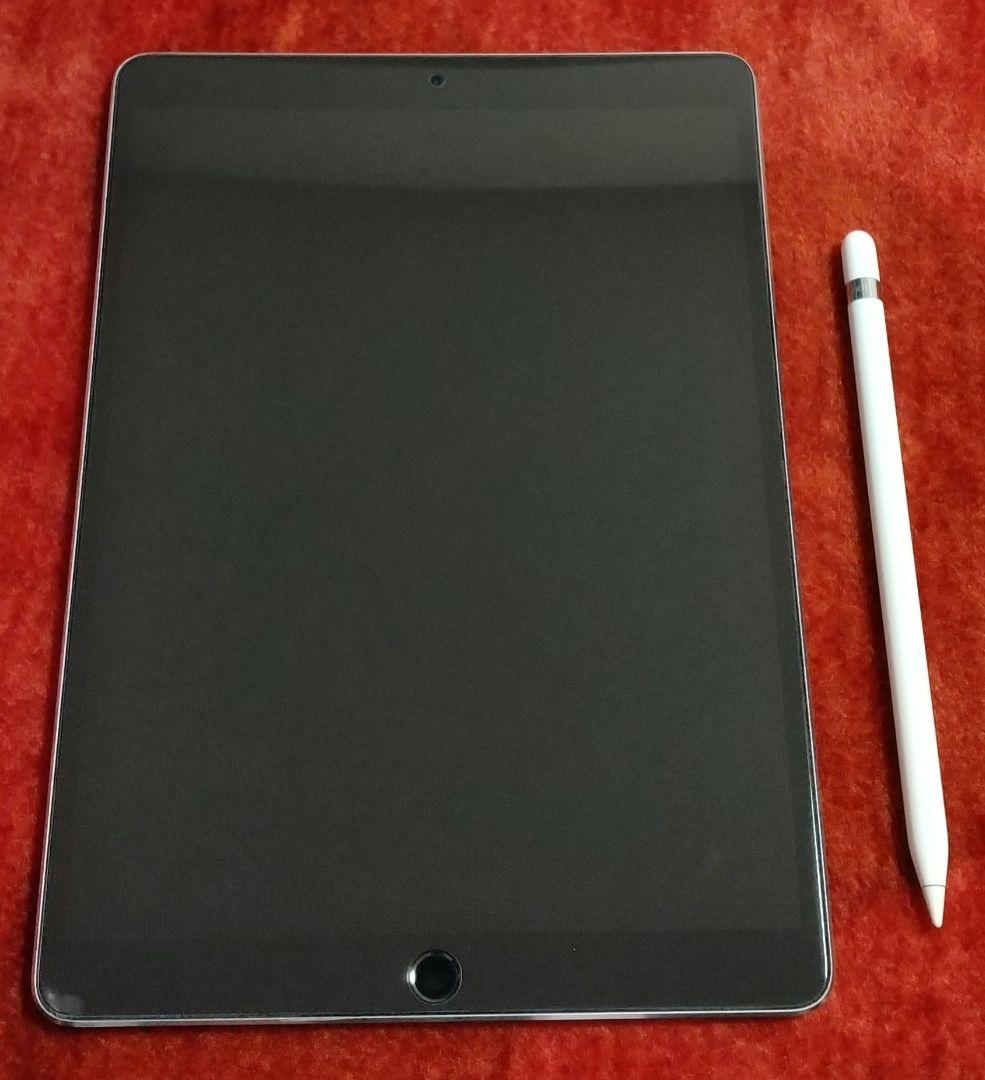 大*風様 iPad Pro スペースグレー 本体 + Apple Pencil