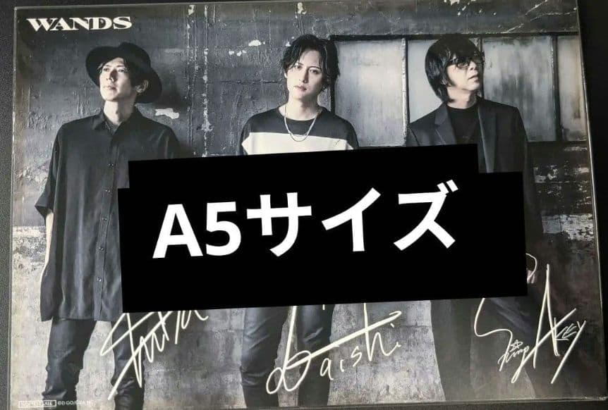 WANDS いろいろセット