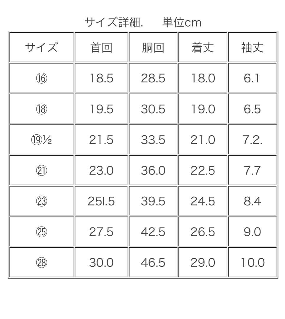 アトリエGG Wintermorning(turtle) 1½