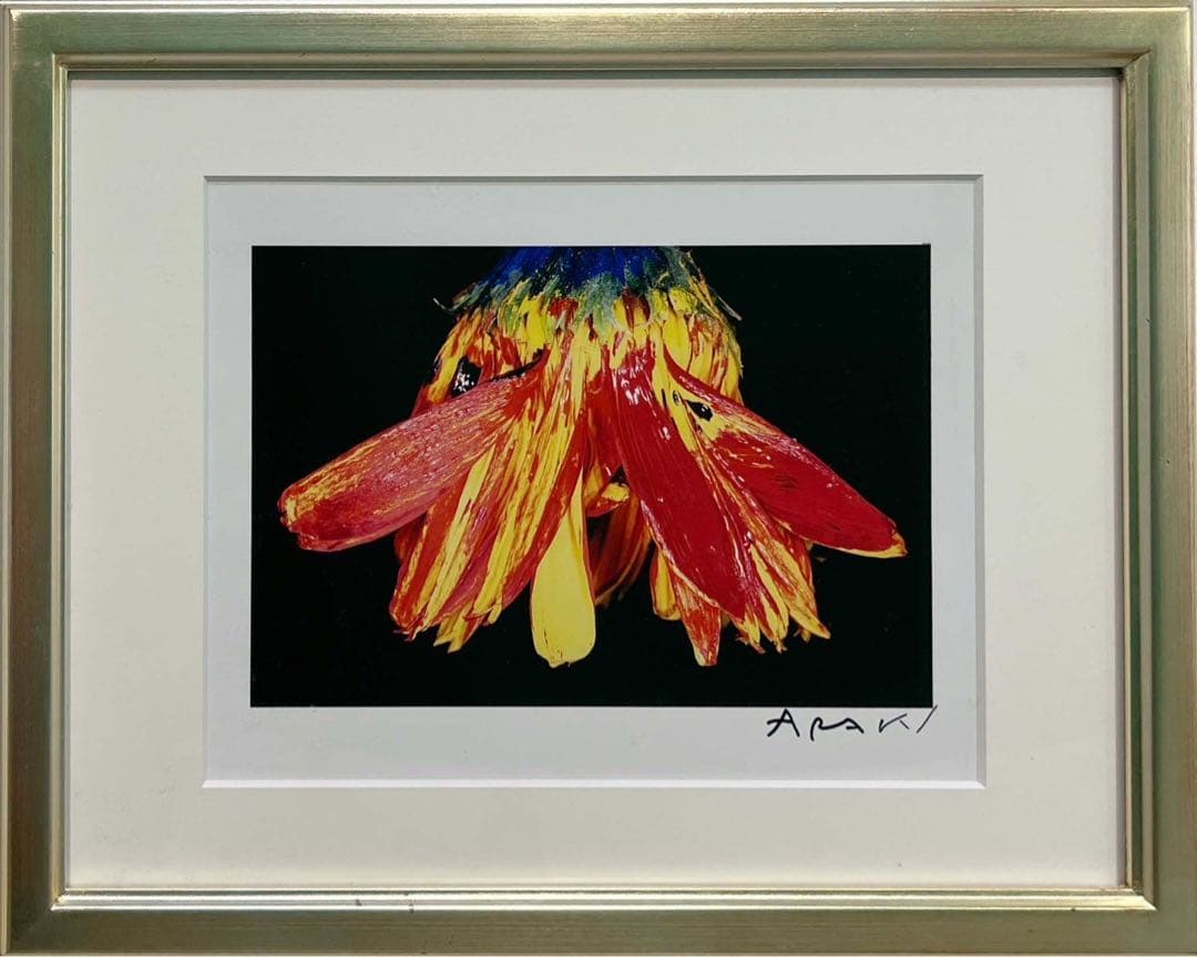 荒木経惟 写真作品 花 サイン入 額装