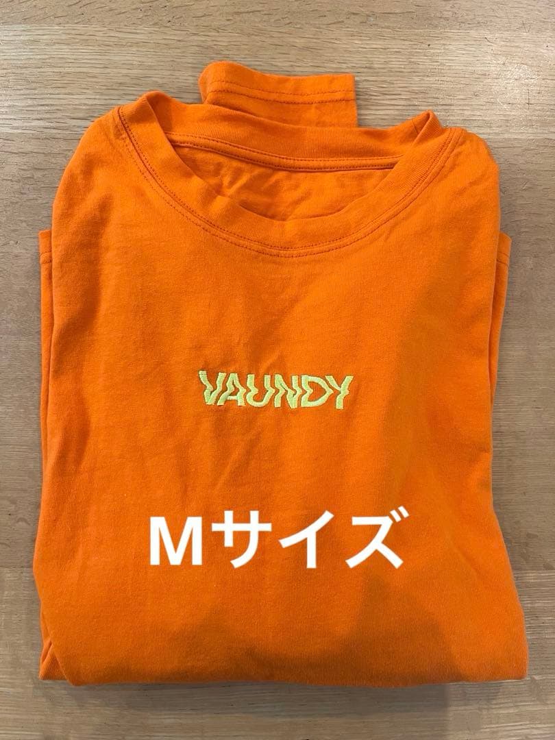 ミュージシャン Vaundy ART Work Studio live 001 replica