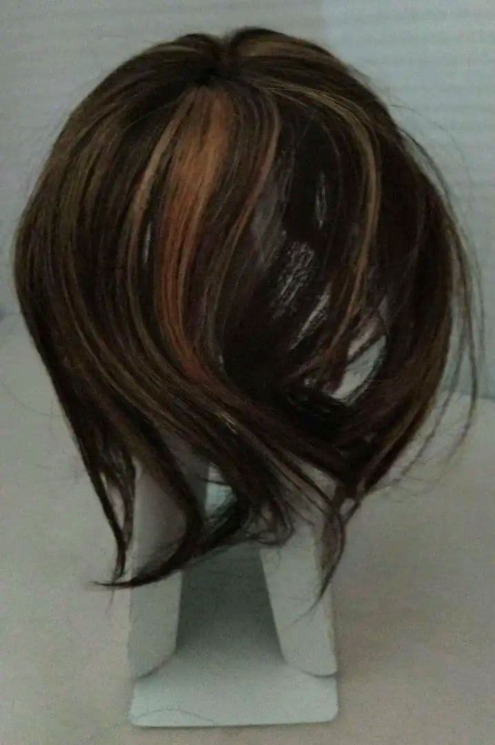 新品未使用 人毛 ブラウン系トップピース ギンカウィンカ ドレスドヘア