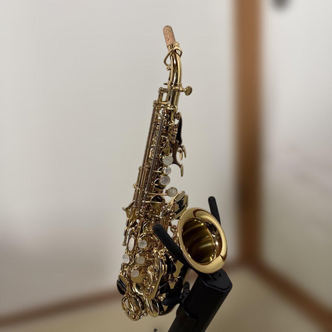 ヤナギサワ　カーブドソプラノ　SC-WO10