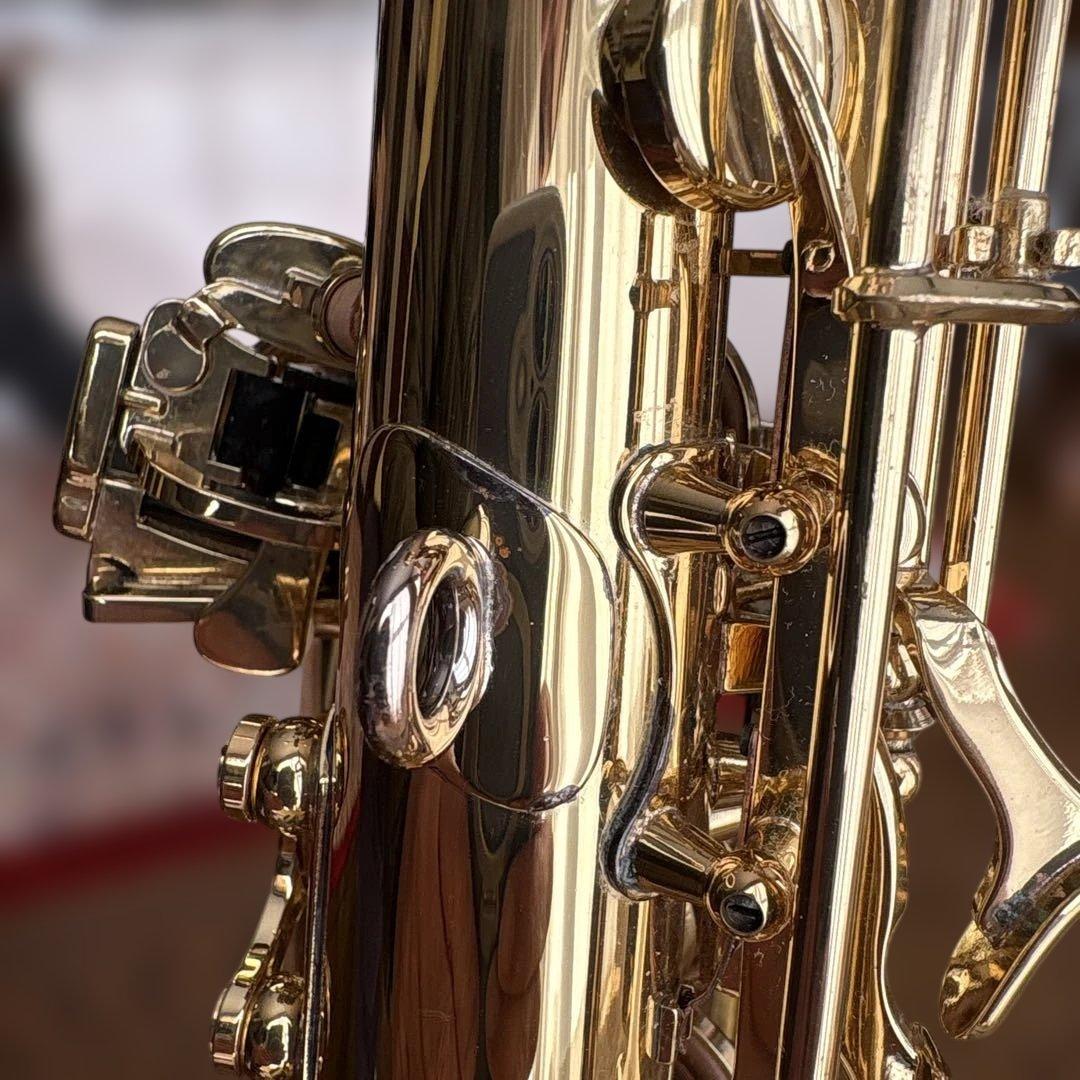 ヤナギサワ　カーブドソプラノ　SC-WO10