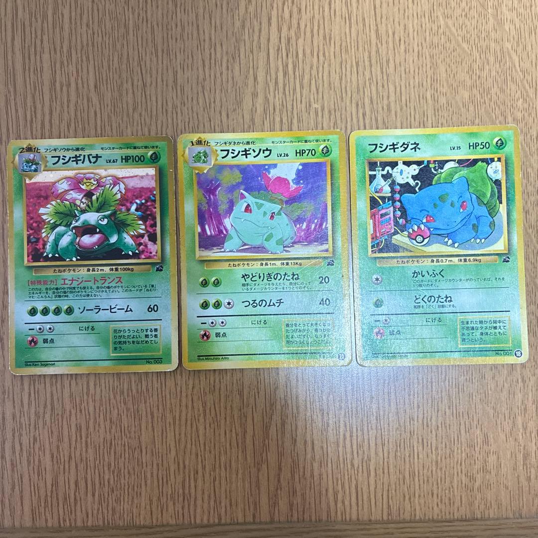 フシギバナ　フシギソウ　フシギダネ3点セット　イントロパック　旧裏