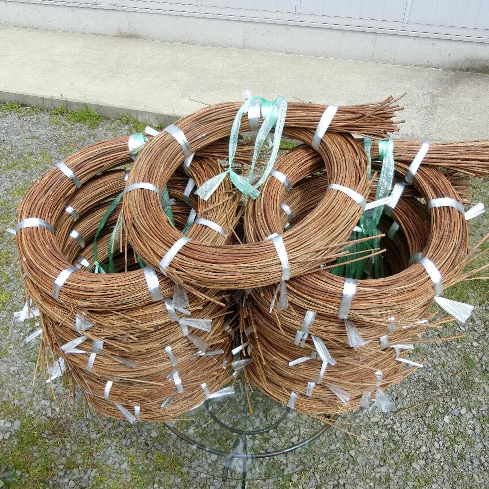 黄色いくまさん　青森岩木山採取　あけび蔓　150cm～ 15kg　2