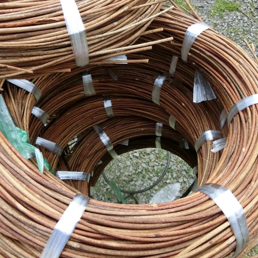 黄色いくまさん　青森岩木山採取　あけび蔓　150cm～ 15kg　2