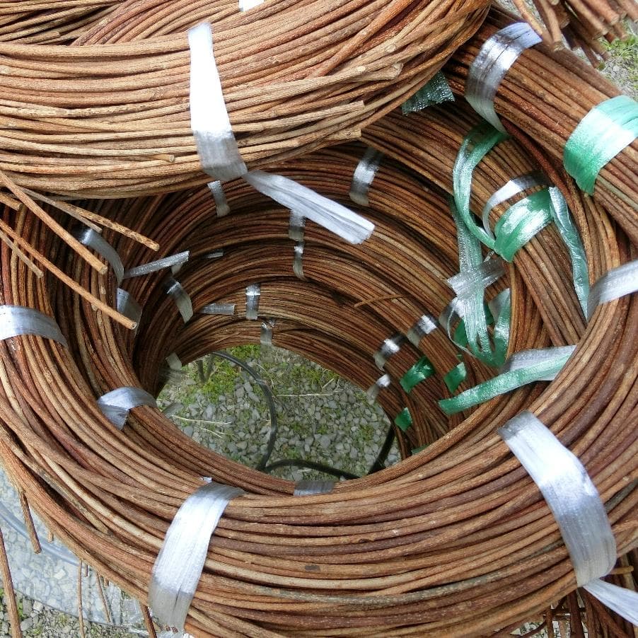 黄色いくまさん　青森岩木山採取　あけび蔓　150cm～ 15kg　2